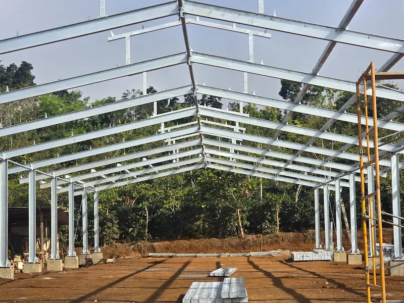 BH steel structure project case Chicken farm(1835m2) costa rica-2025
