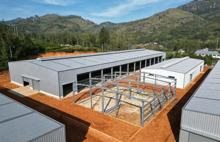 Steel Structure Warehouse